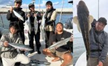 【沖のルアー釣果速報】伊勢湾のオフショアゲームでサワラ連発＆マゴチ船中20匹と絶好調！（愛知）