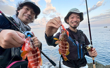 沖磯でのロックフィッシュゲームで30cm級アカハタ【西伊豆】ブッコミでは定番のウツボも登場