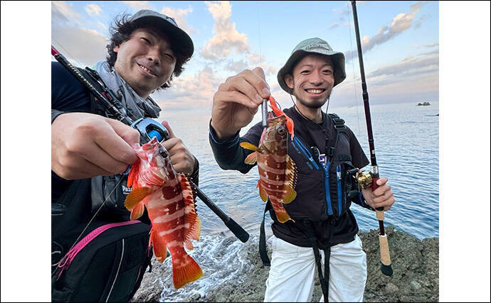 沖磯でのロックフィッシュゲームで30cm級アカハタ【西伊豆】ブッコミでは定番のウツボも登場