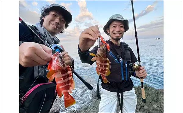 「沖磯でのロックフィッシュゲームで30cm級アカハタ【西伊豆】ブッコミでは定番のウツボも登場」の画像