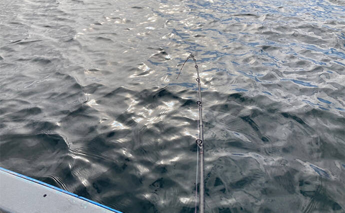 ハゼを使った泳がせ釣りで48cmマゴチをキャッチ【三重】魚礁周りの水深12mでヒット