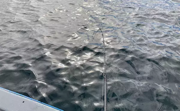 「ハゼを使った泳がせ釣りで48cmマゴチをキャッチ【三重】魚礁周りの水深12mでヒット」の画像