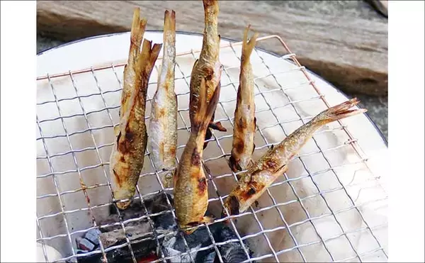 「「実は超美味な淡水の小魚」琵琶湖でホンモロコを釣ろう【タックル・仕掛け・釣り方を解説】」の画像