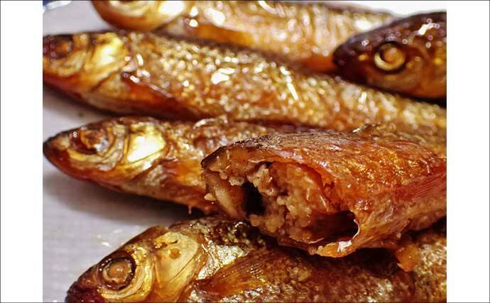 「実は超美味な淡水の小魚」琵琶湖でホンモロコを釣ろう【タックル・仕掛け・釣り方を解説】