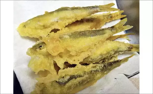 「「実は超美味な淡水の小魚」琵琶湖でホンモロコを釣ろう【タックル・仕掛け・釣り方を解説】」の画像