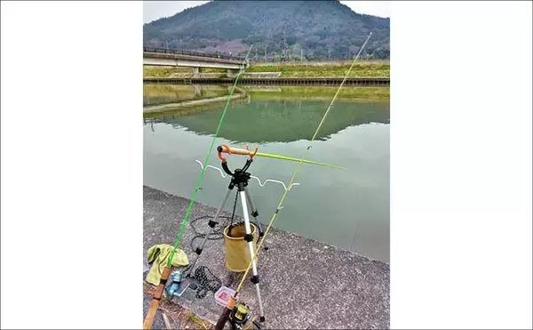 「「実は超美味な淡水の小魚」琵琶湖でホンモロコを釣ろう【タックル・仕掛け・釣り方を解説】」の画像