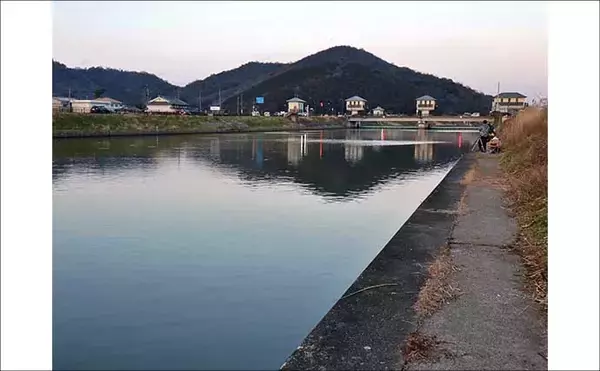 「「実は超美味な淡水の小魚」琵琶湖でホンモロコを釣ろう【タックル・仕掛け・釣り方を解説】」の画像