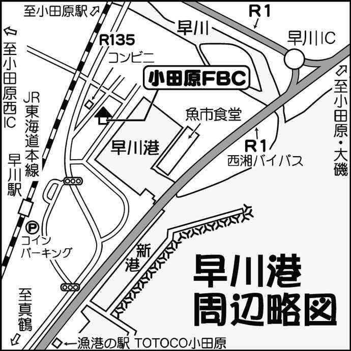 堤防サビキ釣りでカタクチイワシなど166尾 時合いにはコマセ不要 22年4月2日 エキサイトニュース