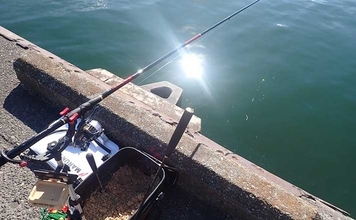 フカセ釣りのコマセ（まきエサ）節約術4選　釣りエサにも値上げの波？