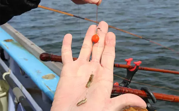 「第8回小粋に江戸前ハゼを釣る会で釣る人本命３ケタ釣果【東京・まる八】」の画像