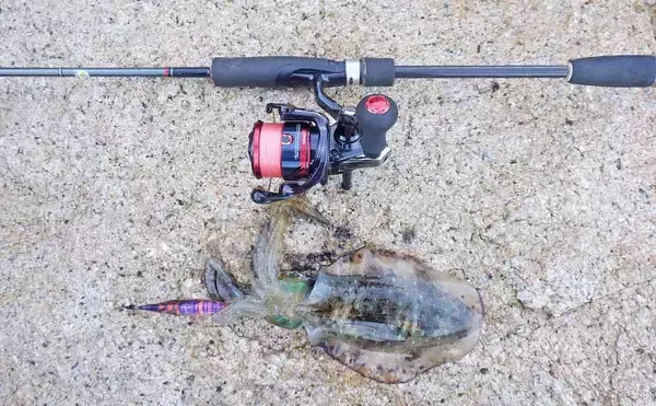 「【2025年版】エギングロッドおすすめ20選！　初心者にもわかる失敗しない選び方を解説」の画像