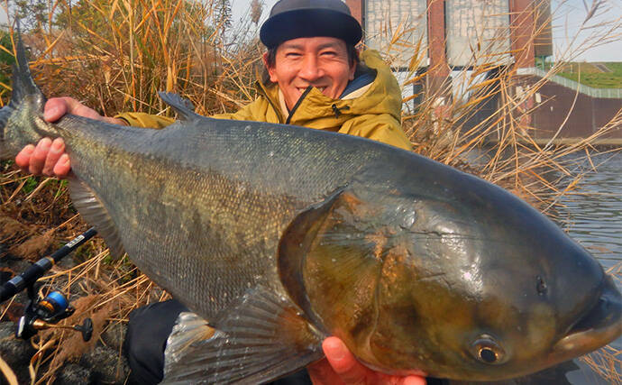 荒川ハクレン釣りで92cm頭に良型2尾手中！【埼玉】 高活性のボラにはお手上げ？