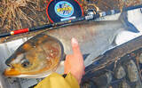 「荒川ハクレン釣りで92cm頭に良型2尾手中！【埼玉】 高活性のボラにはお手上げ？」の画像8