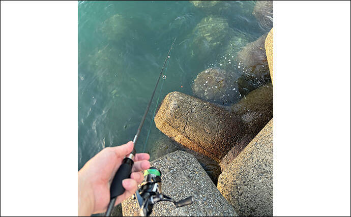 アジングで絶対やってはいけないこと3選 【大アワセ・大きな音・安易なリリース】