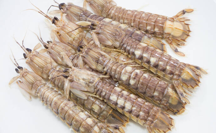 高級魚介の食べ放題に行ってみた　元をとるなら何を食べればいい？