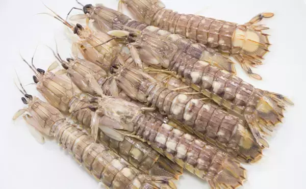 「高級魚介の食べ放題に行ってみた　元をとるなら何を食べればいい？」の画像