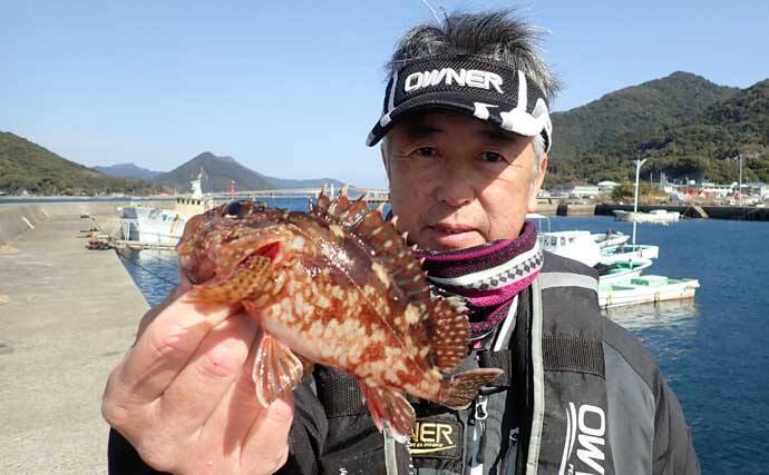 春の乗っ込みチヌ釣果が上向きか【熊本】波止フカセ釣りで30cm級を連打
