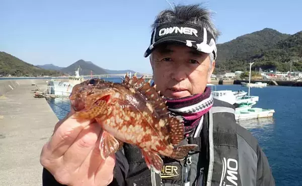 「春の乗っ込みチヌ釣果が上向きか【熊本】波止フカセ釣りで30cm級を連打」の画像