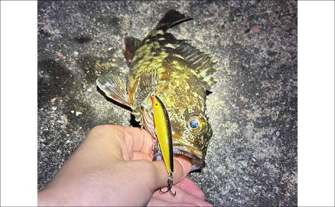 「春は小型ルアーで釣る！」だけでは通用しない　気づかれないリスクとは？