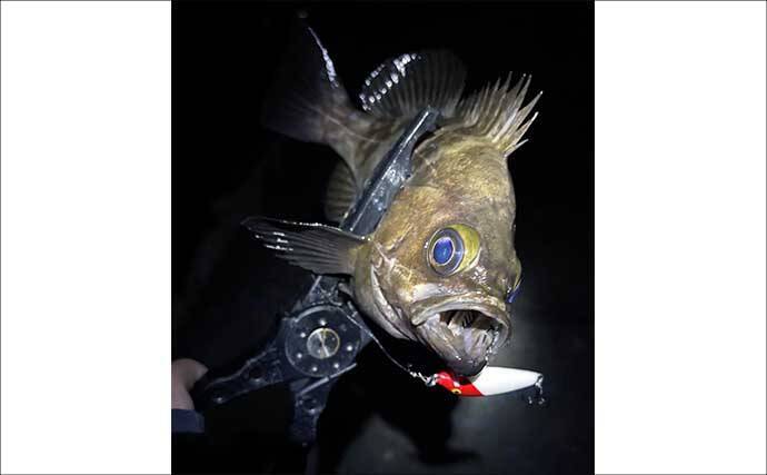 「春は小型ルアーで釣る！」だけでは通用しない　気づかれないリスクとは？