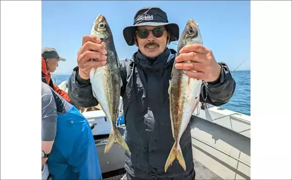 「タイラバで良型含みマダイ2桁と数釣り達成！【大分・熊本の船釣り最新釣果5選】」の画像
