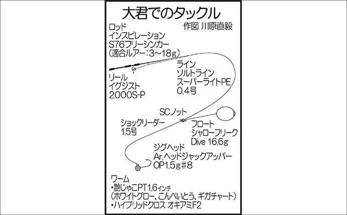 アジングで55cmマダイをキャッチ【広島】フロートリグにハイブリッドクロスが的中！