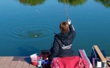 吉田康雄のザ・チャレンジへらぶな【放流日の翌日ってどうよ！？#3】