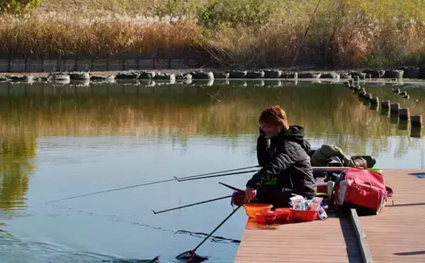「吉田康雄のザ・チャレンジへらぶな【放流日の翌日ってどうよ！？#3】」の画像