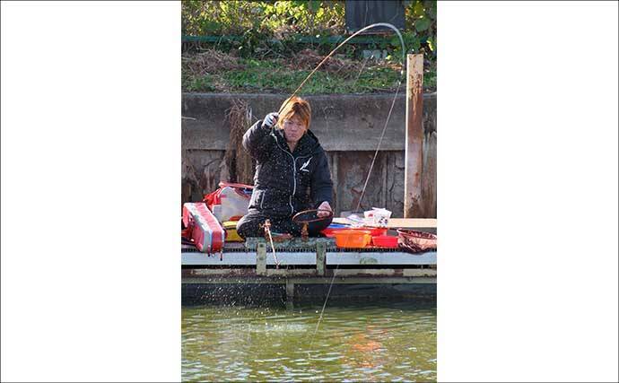 吉田康雄のザ・チャレンジへらぶな【放流日の翌日ってどうよ！？#3】