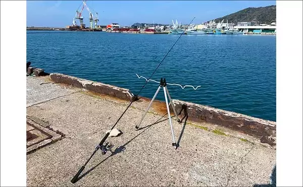 「堤防ちょい投げキス釣りで想定外の49cmヒラメ登場にビックリ！【千葉】」の画像