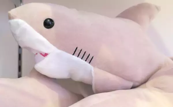 「「怖い？可愛い？それとも美味しい？」 人によって変わるサメのイメージ」の画像