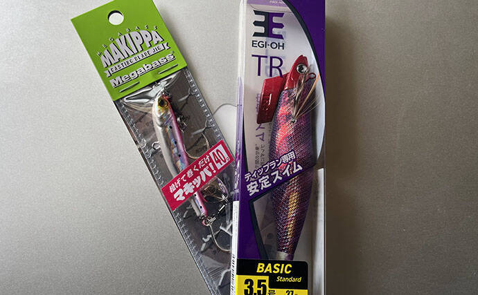 沖縄・伊是名島でのボートゲームでアカハタとアオリイカ連打！ パックロッドで挑戦