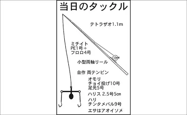 「霞ヶ浦ふ頭での夜釣りで35cm級アナゴをキャッチ！【三重】ゲストに良型キスも登場」の画像