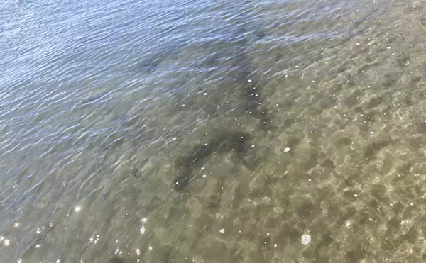 「「砂ではなく変化を見つけよう！」 投げキス釣りで釣果を伸ばす【5つの地形】の見方」の画像