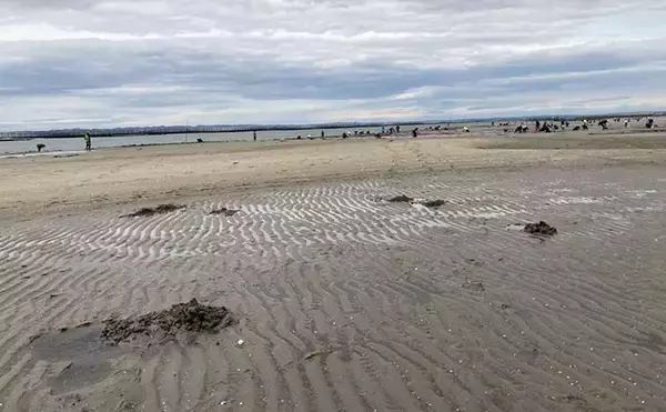 「「砂ではなく変化を見つけよう！」 投げキス釣りで釣果を伸ばす【5つの地形】の見方」の画像