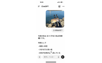 釣り人が「AI」に期待すること　釣果につながる情報提供と雑談相手になってほしいのが本音？