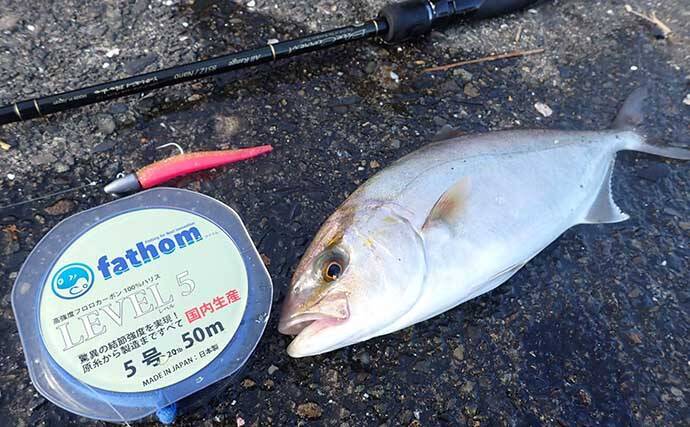 釣行ごとに行いたい【海釣り道具の簡易メンテナンス術】　タオルは必須