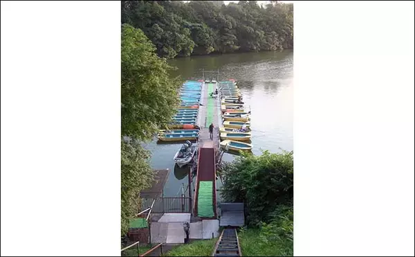 「今週のヘラブナ推薦釣り場2023【千葉県・亀山湖】」の画像