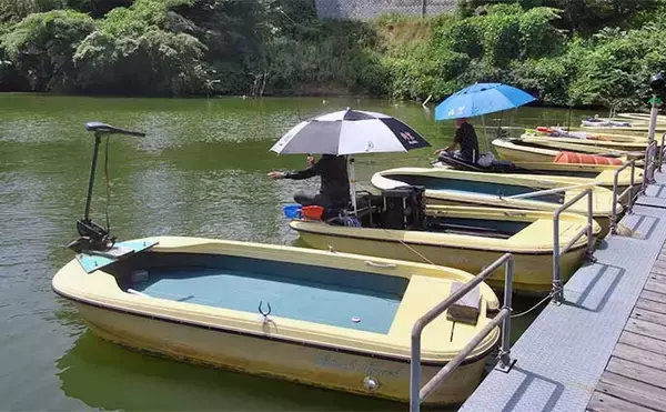 「今週のヘラブナ推薦釣り場2023【千葉県・亀山湖】」の画像