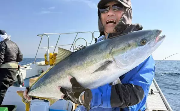 【沖釣り釣果速報】12kgブリ登場！泳がせ釣りで大物連発の響灘（福岡）