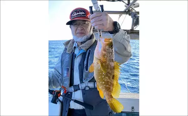 「【沖釣り釣果速報】12kgブリ登場！泳がせ釣りで大物連発の響灘（福岡）」の画像