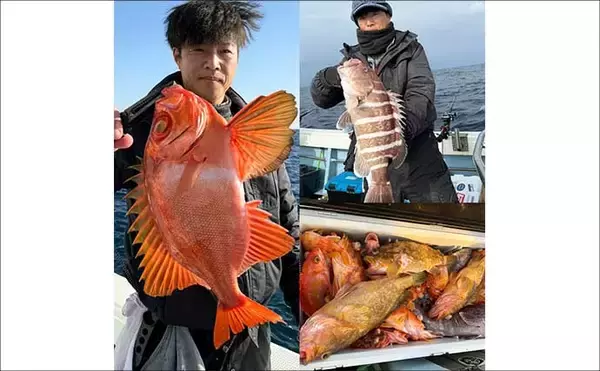 「【沖釣り釣果速報】12kgブリ登場！泳がせ釣りで大物連発の響灘（福岡）」の画像