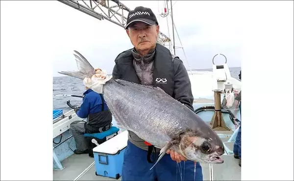 「【沖釣り釣果速報】12kgブリ登場！泳がせ釣りで大物連発の響灘（福岡）」の画像