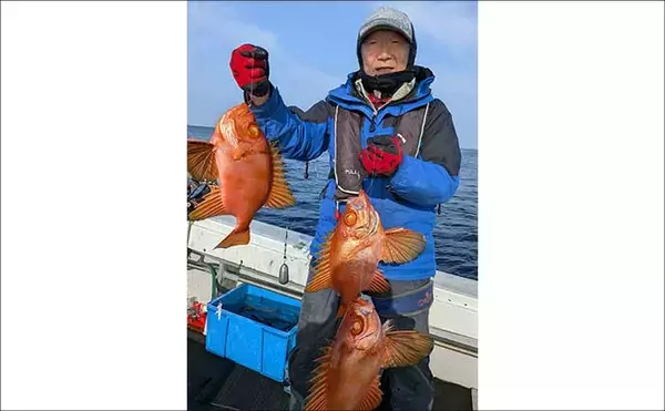 「【沖釣り釣果速報】12kgブリ登場！泳がせ釣りで大物連発の響灘（福岡）」の画像