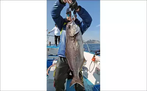 「【沖釣り釣果速報】12kgブリ登場！泳がせ釣りで大物連発の響灘（福岡）」の画像