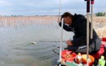 吉田康雄のザ・チャレンジへらぶな【春しかできない釣りをしよう#3】