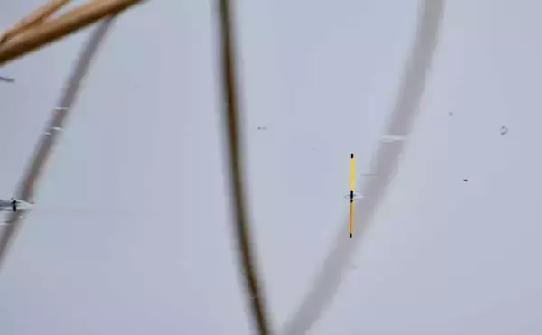 「吉田康雄のザ・チャレンジへらぶな【春しかできない釣りをしよう#3】」の画像