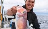 「沖五目釣りでアマダイにアオナにチカメキントキと多彩魚が好反応【船のエサ釣り最新情報8選・福岡】」の画像1