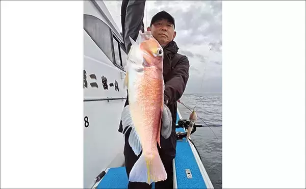 「沖五目釣りでアマダイにアオナにチカメキントキと多彩魚が好反応【船のエサ釣り最新情報8選・福岡】」の画像