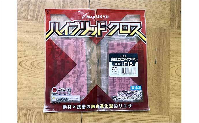 「良型尾長グレを釣ろう！」梅雨グレフカセ釣り入門解説【やり取り・タックル・仕掛け・エサ】